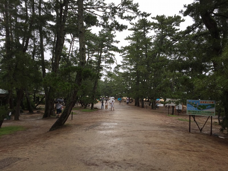 天橋立小道