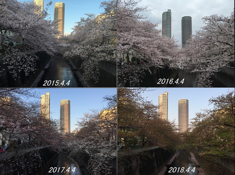 救歯会例会発表