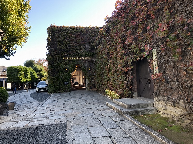 日本障害者歯科学会