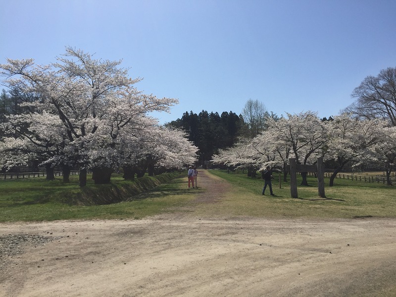 小岩井農場